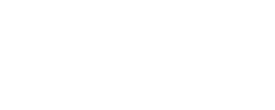 The Success Society